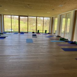 Hotel Kranzbichlhof - Yogaraum - Yoga und Ayurveda Seminar.jpeg